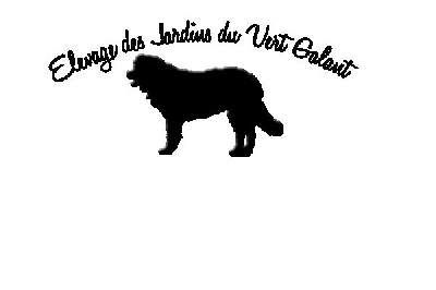 Des Jardins Du Vert Galant